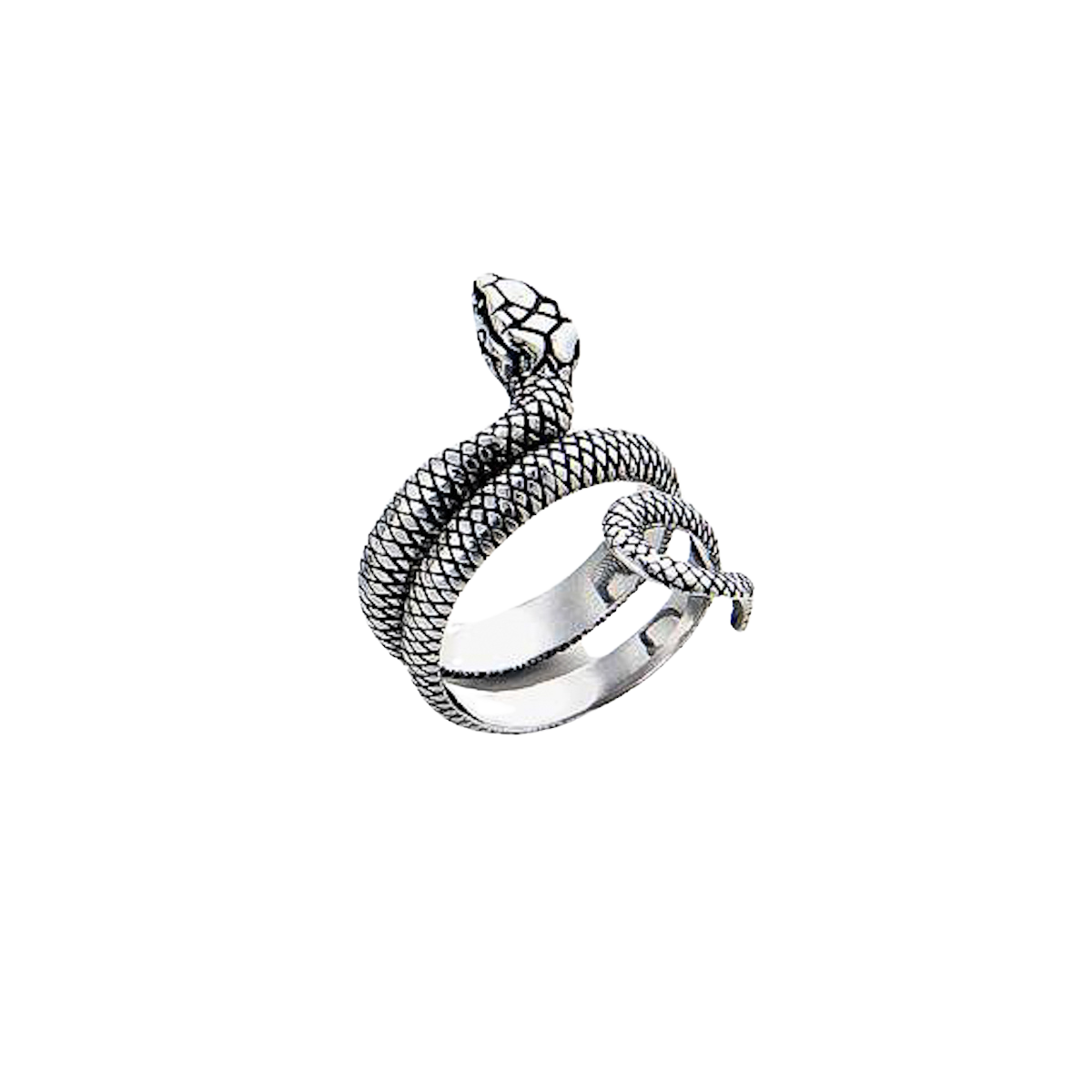 Aesthetic Snake Ring